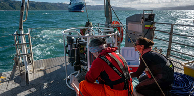 Damage from anchoring ships