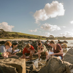 Let's look at your ideas