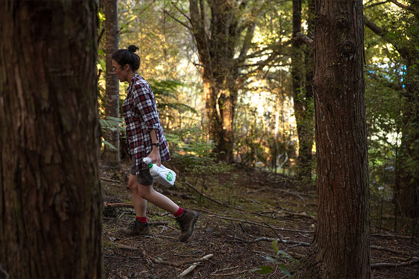 A woman exploring in the wilderness of New Zealand