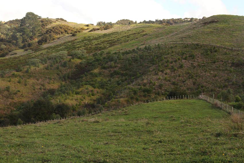 pastures-and-hills.jpg