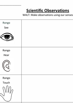 A snapshot from the downloadable material