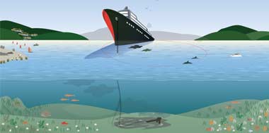 anchoring-issues-title-image.jpg Issues with anchors around NZ