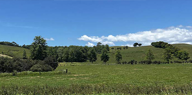 Doubtless Bay project