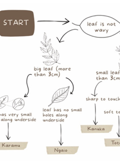 A snapshot from the downloadable material