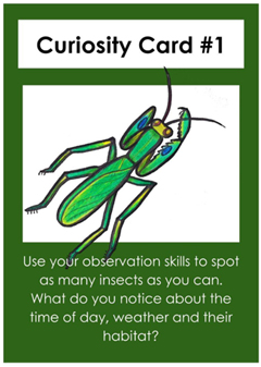 A snapshot from the downloadable material
