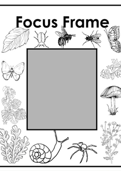 A snapshot from the downloadable material