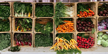 Vegetables in boxes