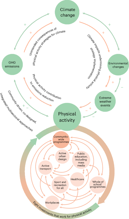 The model visually represented
