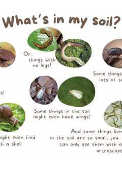 A snapshot from the downloadable material