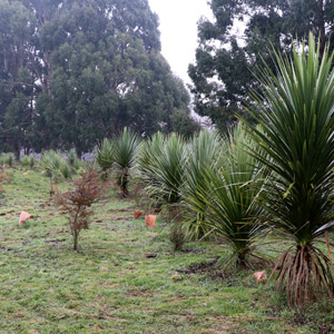 Join us by staying up to date